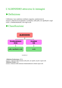 L`ALBINISMO attraverso le immagini