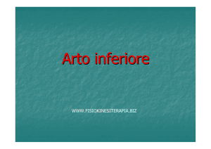 Arto inferiore - Fisiokinesiterapia