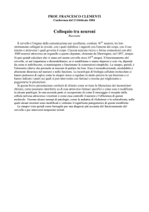 Colloquio tra neuroni