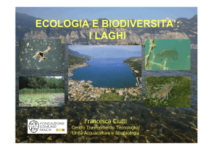 2 biodiversamente lago 1