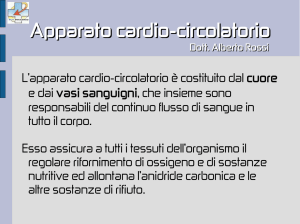 Apparato cardio-circolatorio