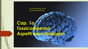 Cap. Ia - Gli effetti della droga sul sistema