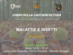Diapositiva 1 - Associazione Castanicoltori Lario Orientale-Home