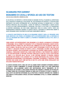 bignamino di cavalli sforza ad uso dei testoni