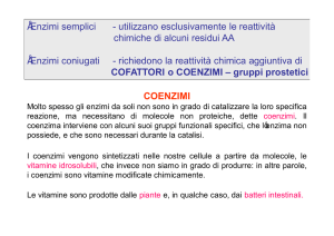 7. Coenzimi. Regolazione enzimatica File