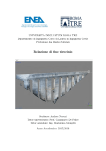 Andrea Nacuzi LM-PRN - Collegio Didattico di Ingegneria Civile