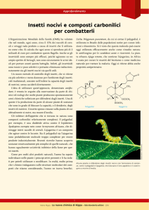 Insetti nocivi e composti carbonilici per combatterli