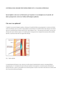 Informativa Epidurale - Istituto Giannina Gaslini