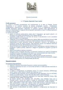 n. 1 IT System Specialist Team Leader Profilo posizione