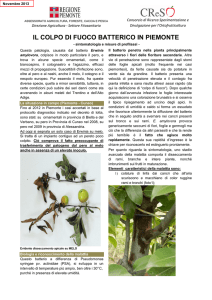 Scheda tecnica colpo di fuoco