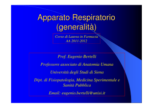 Apparato Respiratorio (generalità)