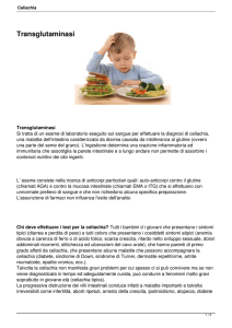 Transglutaminasi - Centro Diagnostico ARA IANI