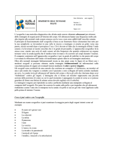 1) Informativa Eco