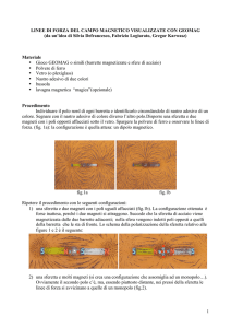Linee di forza del campo magnetico visualizzate con GEOMAG, a