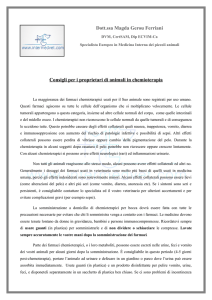 Centro Oncologico Veterinario - Dott.ssa Magda Gerou