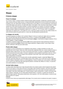 Il bioma steppa
