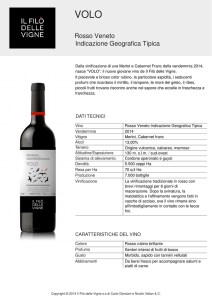 Volo - Il Filò Delle Vigne