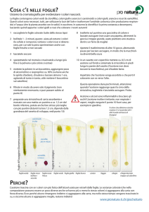 COSA C`È NELLE FOGLIE PERCHÉ?