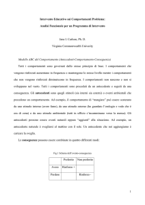 Intervento educativo sui comportamenti problema