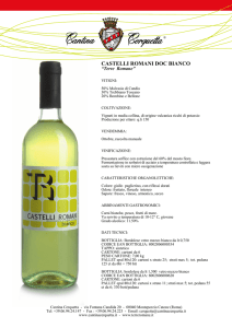 castelli romani doc bianco
