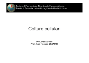 Colture cellulari - Dipartimento di Farmacia