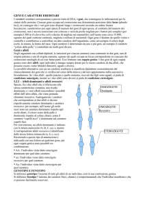 Genetica3