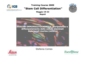 Stefania Comes - IGB-CNR