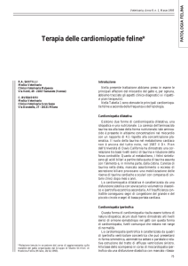 Terapia delle cardiomiopatie feline