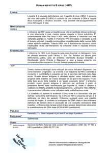 HUMAN HEPATITIS B VIRUS - Laboratorio di diagnostica molecolare