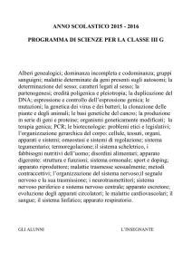 anno scolastico 2012 - 2013 - Liceo Scientifico Michelangelo