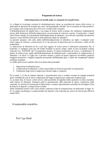 Elettrodeposizione di - Università degli Studi di Firenze