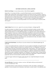 SETTORE MATEMATICA, FISICA,SCIENZE Davide Coero Borga, La