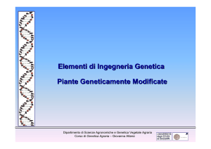 PIANTE GENETICAMENTE MODIFICATE