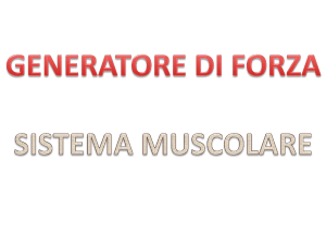 Fisiologia Muscolare