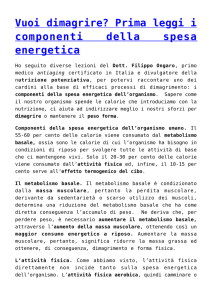 Vuoi dimagrire? Prima leggi i componenti della spesa energetica