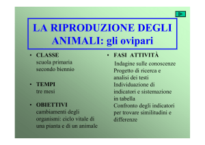 La riproduzione degli animali Gli ovipari