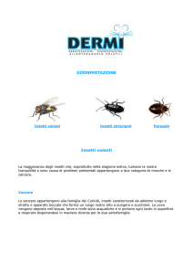 Clicca qui per scaricare l`articolo sulla disinfestazione