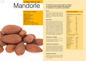 NUTRIRSI 4 DIC 09