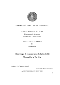 Documento PDF (Tesi triennale)