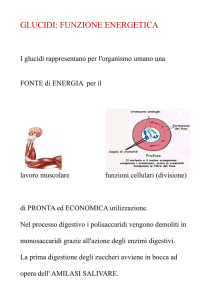 glucidi - c@siniduepuntozero