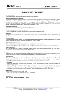 Scheda tecnica