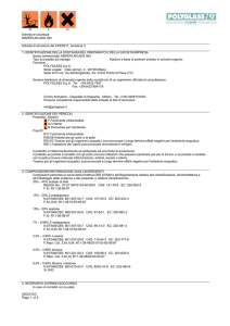 POLYGLASS (0502310,v3_0,it,ITA)