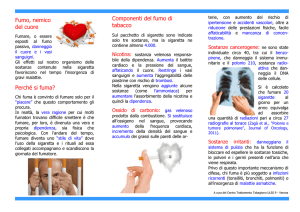 pieghevole fumo e cuore 2017