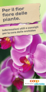 Per il fior fiore delle piante.