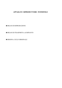 Apparato riproduttore femminile (06-04