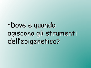 • Dove e quando agiscono gli strumenti dell`epigenetica? - e