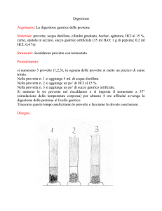 Digestione Argomento: La digestione gastrica delle