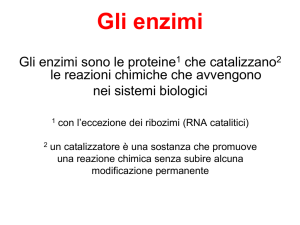 Gli enzimi