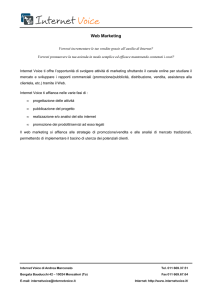 Web Marketing - Internet Voice