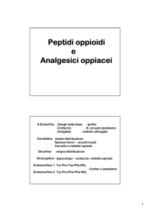 Gli analgesici centrali